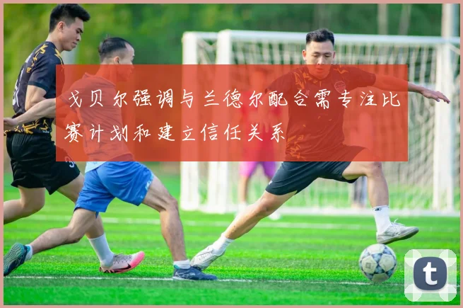 戈贝尔强调与兰德尔配合需专注比赛计划和建立信任关系